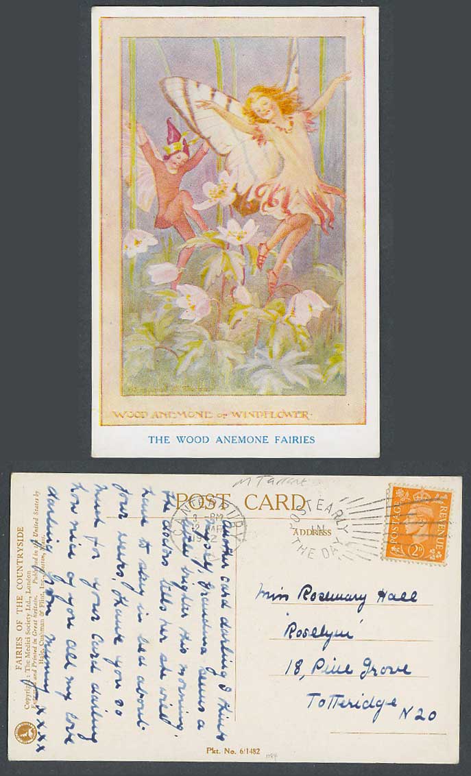Margaret W. Tarrant 1942 Old Postcard Fairies Wood Anemone or Windflower Flowers