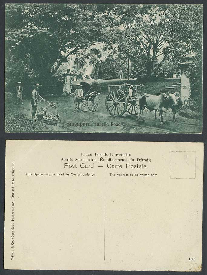 Singapore Old Postcard Tanglin Road Street Scene, Bullock Cart, Rickshaw Coolies
