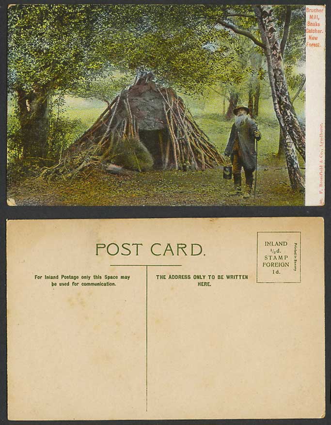 New Forest Brusher Mills Snake Catcher Brucher Mill Tent Man Old Colour Postcard