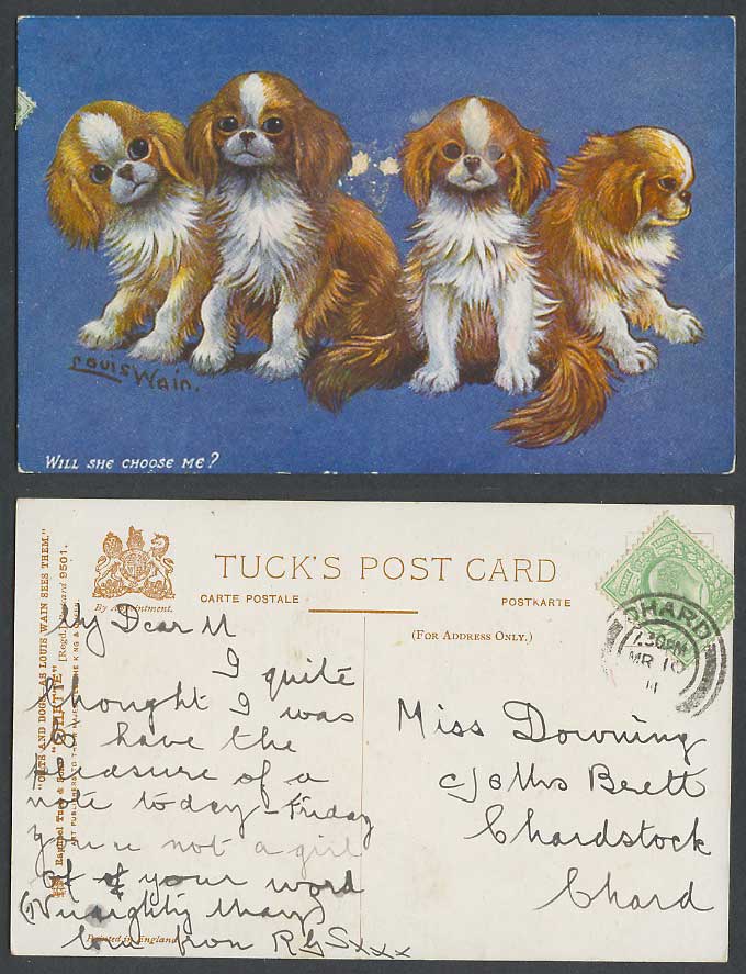 LOUIS WAIN Artist Signed Dogs Puppies Will She Choose Me 1911 Old Tucks Postcard