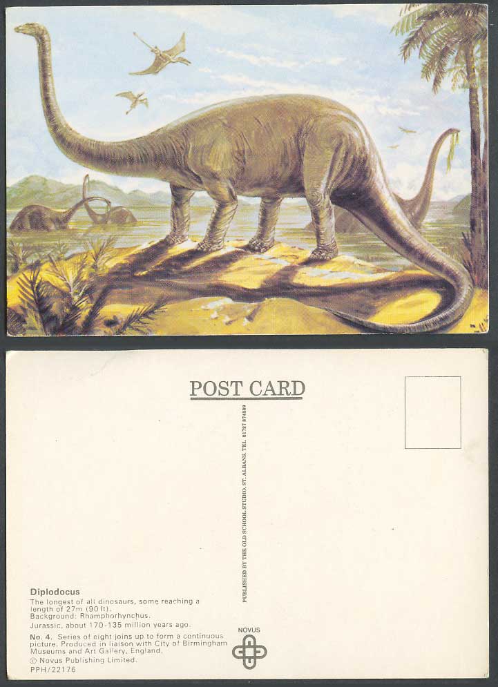 Dinosaurs Postcard Diplodocus Longest Dinosaur of all, Rhamphorhynchus, Jurassic