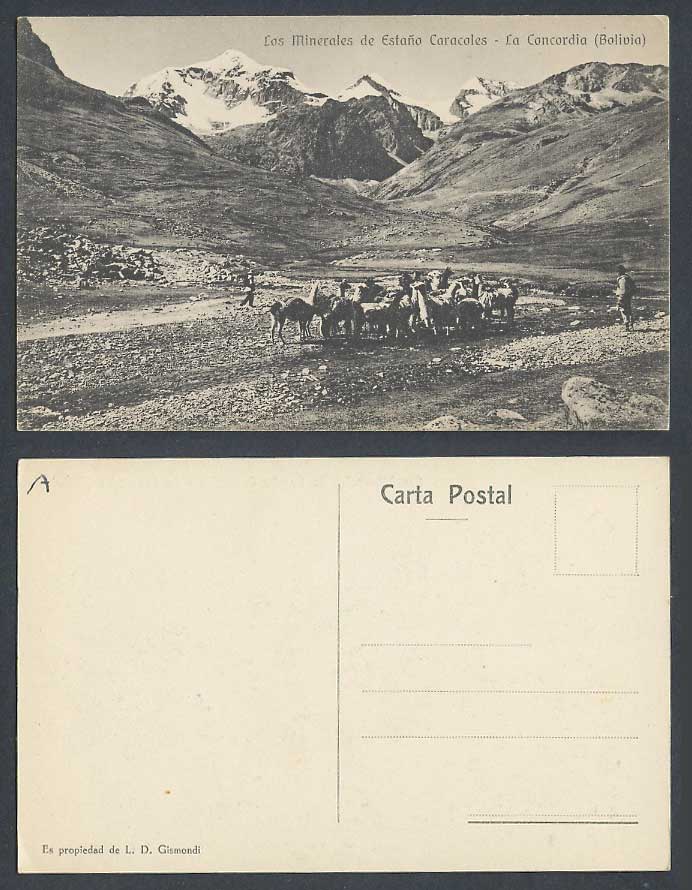 Bolivia Old Postcard Los Minérales de Estanoo Caracoles La Concordia Llamas Mts.