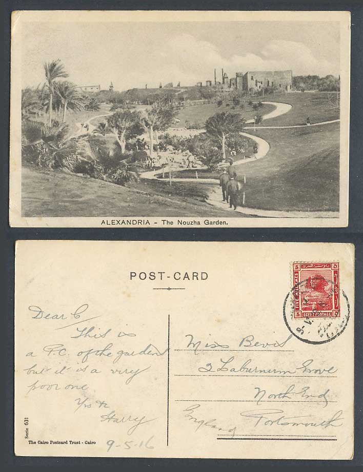 Egypt 5m 1916 Old Postcard Alexandria The Nouzha Garden Jardin Nouzha Palm Trees