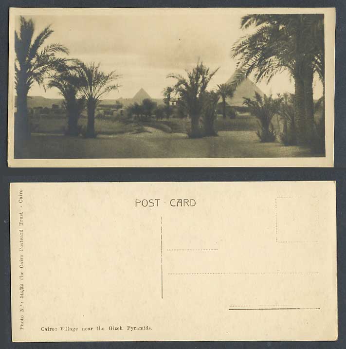 Egypt Old Postcard Cairo, Village near Gizeh Pyramids Giza, Palm Trees, Bookmark