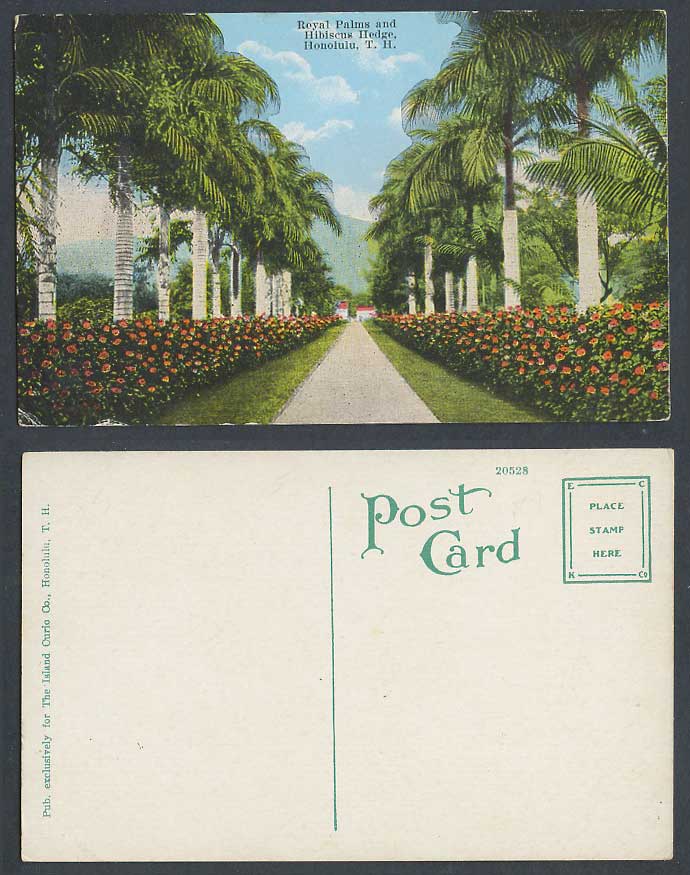 USA Hawaii Honolulu T.H. Royal Palms Hibiscus Hedge Palm Tree Old Color Postcard