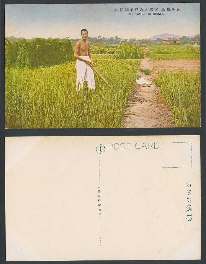 China Old Postcard Farming of Chinese Farmer Vegetable Fields Manchuria 滿洲 野菜田耕作