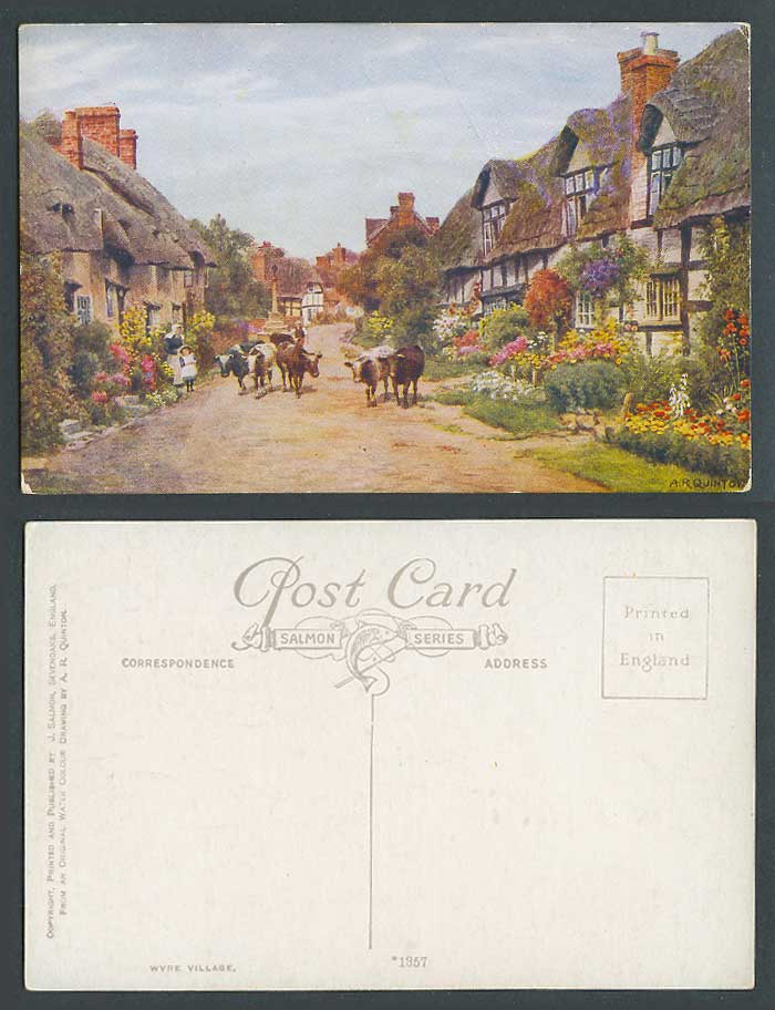 A.R. Quinton Old Postcard Wyre Village Street, Thatched Cottages Cow Cattle 1357
