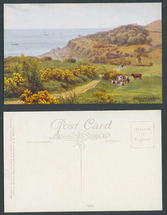 AR Quinton Old Postcard Path to Landslip Shanklin Isle of Wight, Cattle Cow 1631
