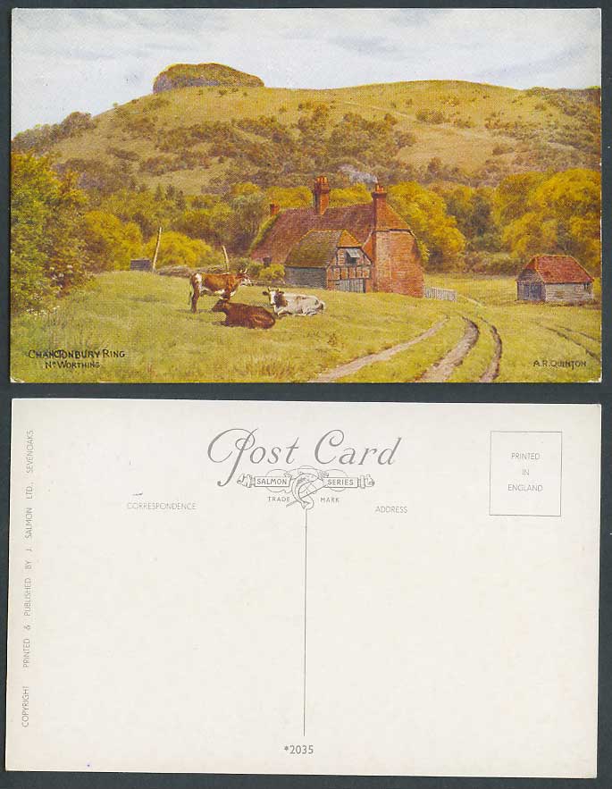 A.R. Quinton Old Postcard Chanctonbury Ring near Worthing Sussex Cow Cattle 2035
