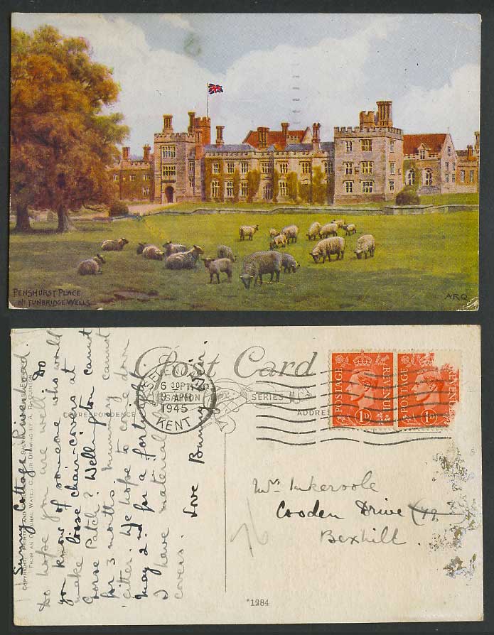 AR Quinton 1945 Old Postcard Penshurst Place nr. Tunbridge Wells Kent SHEEP 1284