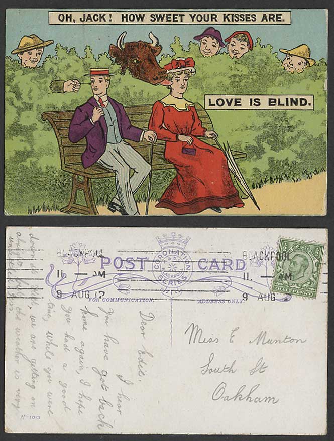 Love is Blind Oh Jack How Sweet Your Kisses Are Cattle Licking 1912 Old Postcard