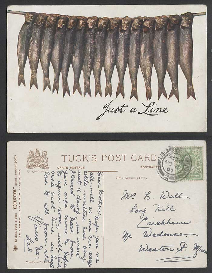 Just a Line (of Fish) 1907 Old Postcard Tuck's Oilette No. 9373 Art Artist Drawn