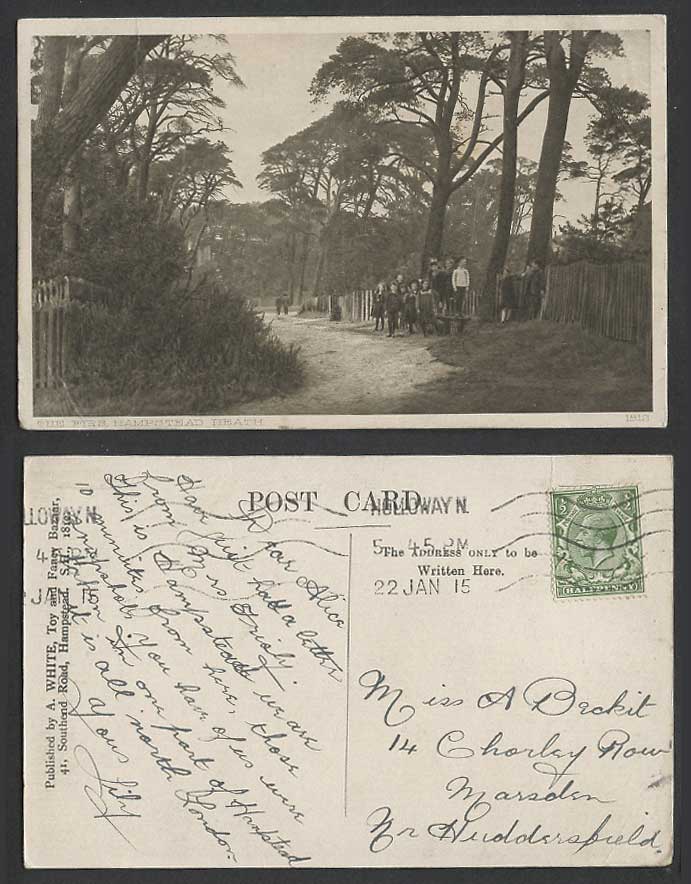 London 1915 Old Postcard Hampstead Heath Firs Fir Trees Children Little Boy Girl