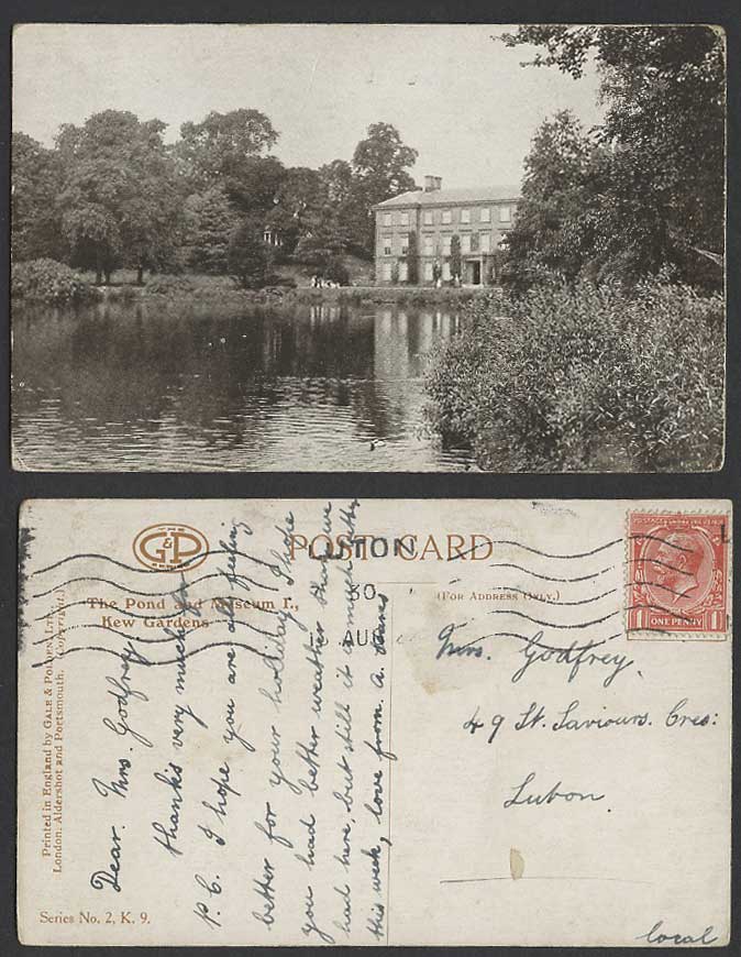 London Old Postcard Kew Gardens Garden The Pond and Museum I. Lake Gale & Polden