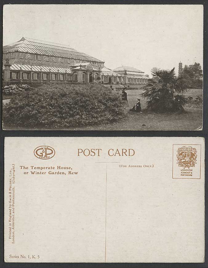 London Old Postcard The Temperate House Winter Garden KEW Gardens, Gale & Polden