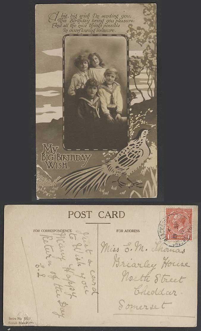 Pheasant Bird, Children Little Boys Girls My Big Birthday Wish 1919 Old Postcard