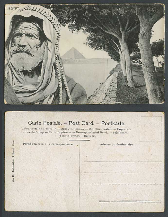 Egypt Old RP Postcard Native Arab Man Cairo Road to Pyramids Route des Pyramides