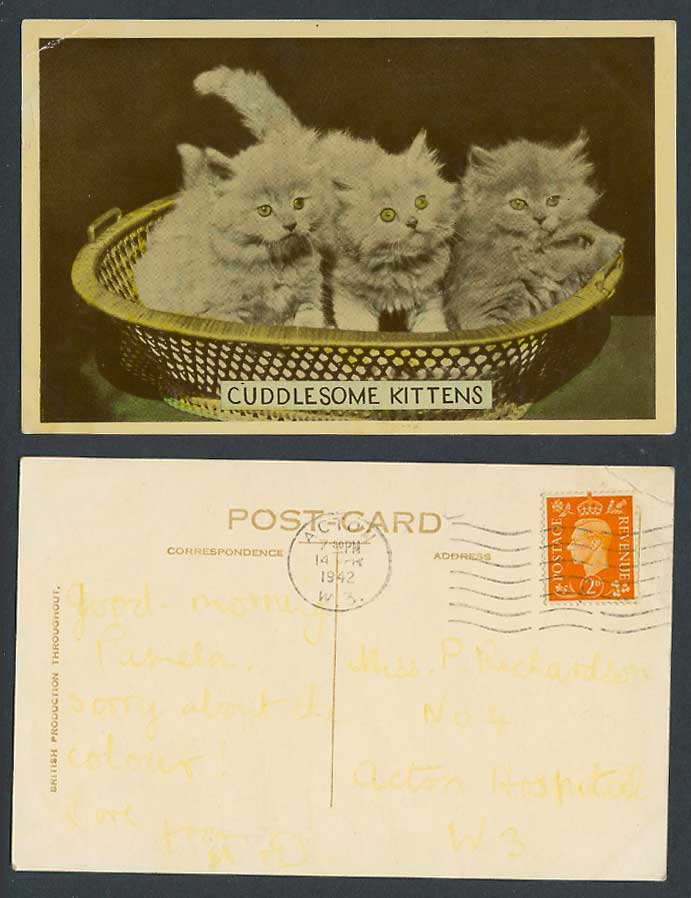 Cuddle Some Kittens, 3 Cats in Basket, Cat Kitten, Pets 1942 Old Colour Postcard