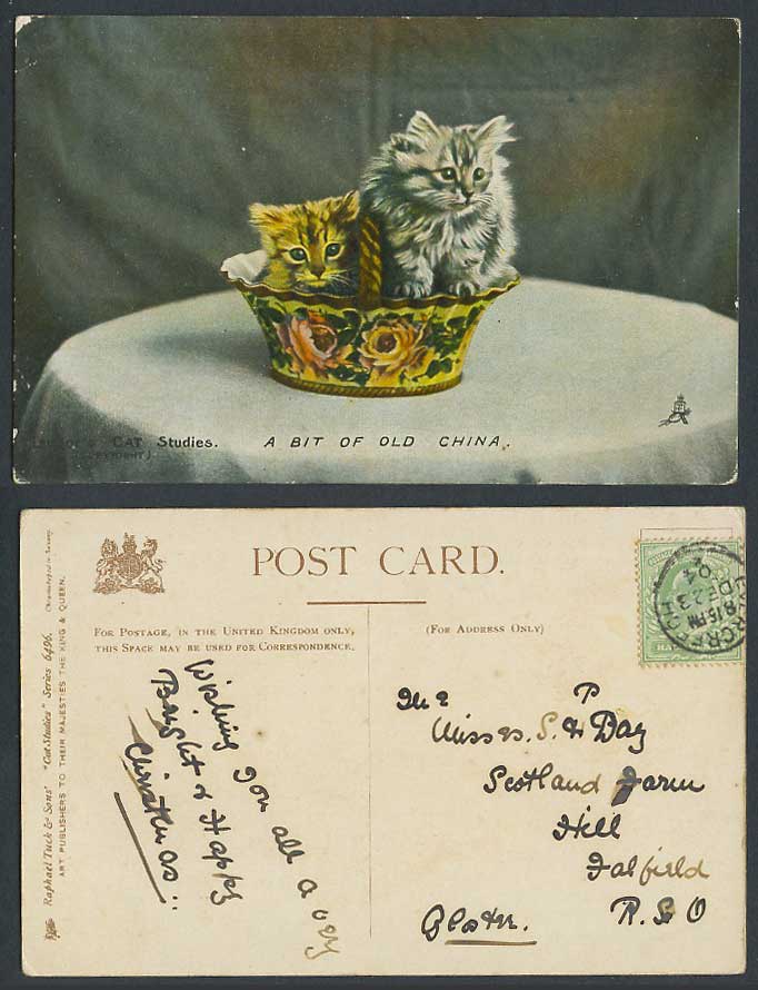 Cats Kittens in a Bowl Landor's Cat Studies A bit of Old China 1904 Old Postcard