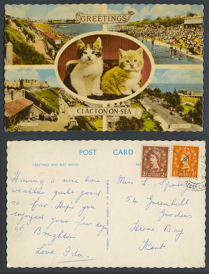 Clacton-on-Sea 1961 Old Postcard Cats Kittens West Cliff East Cliff Beach Street
