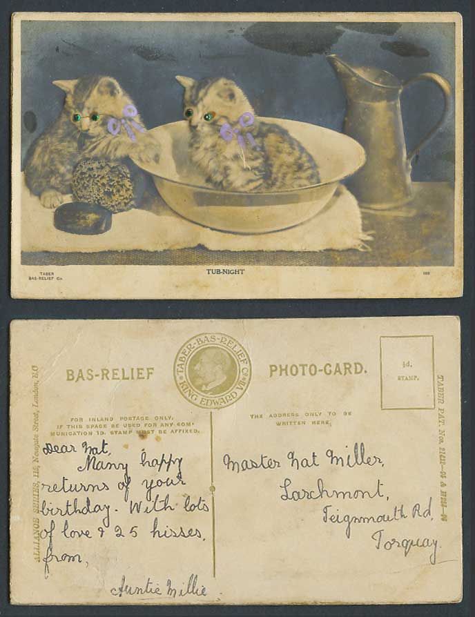 Cat Kitten Cats Kittens with Glitters Green Eyes, Tub-Night Pitcher Old Postcard