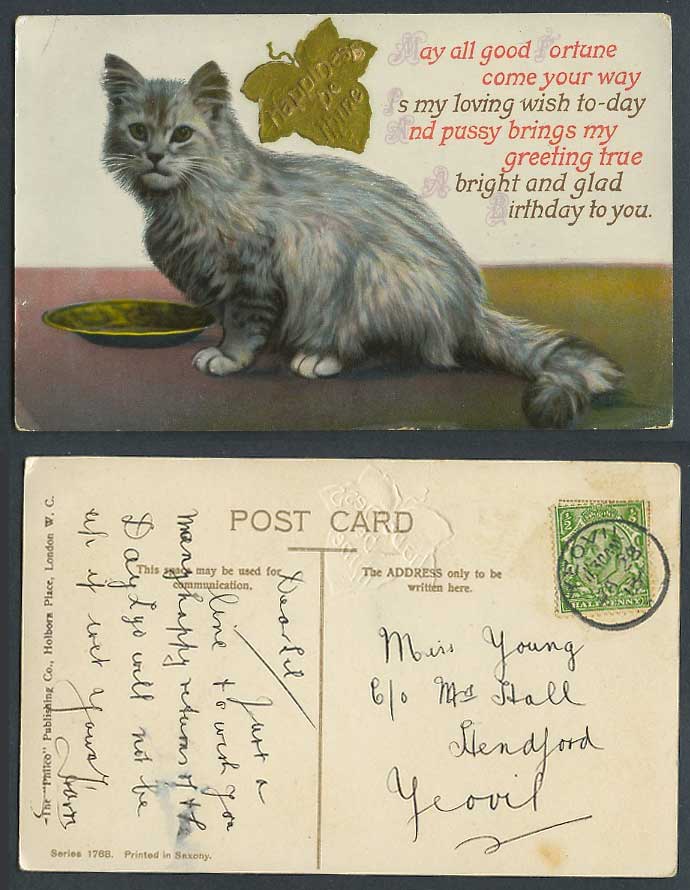 Cat Kitten, Birthday Greetings, May Good Fortune Come Your Way 1913 Old Postcard