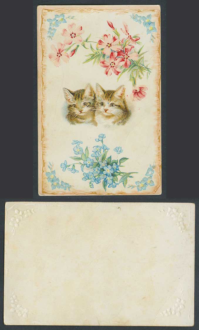 Cat Kitten Cats Kittens Flowers Pet Animals Art Artist Drawn Old Colour Postcard
