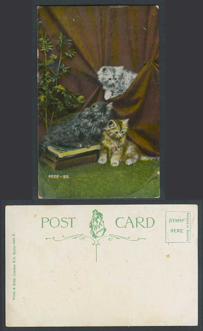 3 Cats Kittens and Books Curtain Peep - Bo Old Postcard Cat Kitten Pet Animals