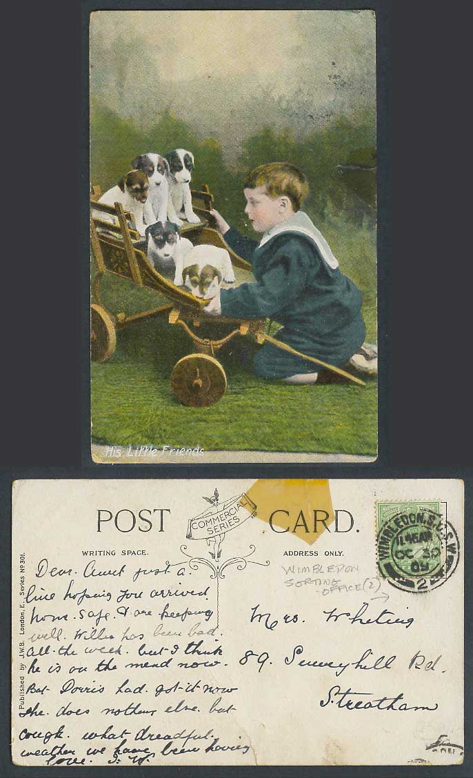 Dogs Puppies Cart His Little Friends Boy Children Pets Animals 1909 Old Postcard