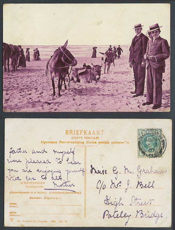 Holland Scheveningen Strandgezicht Beach Donkeys, GB QV 1 1/2d 1907 Old Postcard