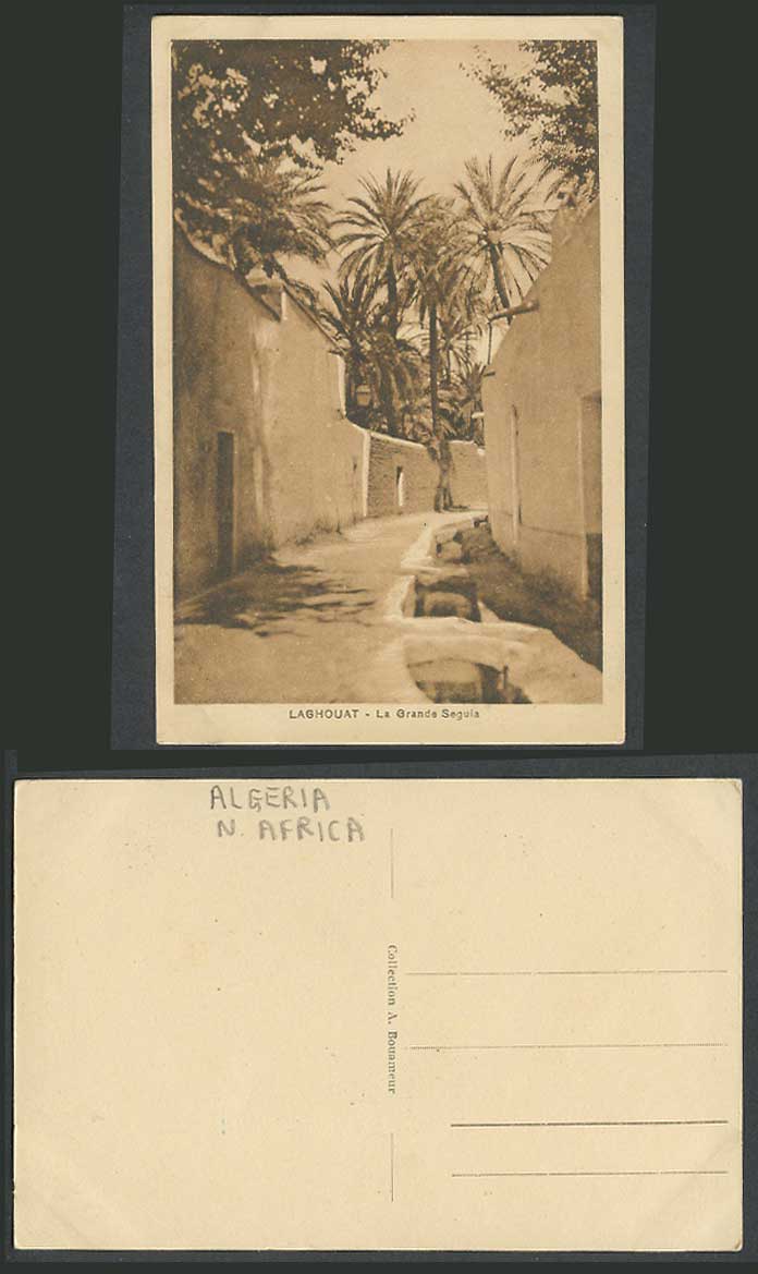 Algeria Old Postcard Laghouat La Grande Seguia, Palm Trees, Street Bridges River