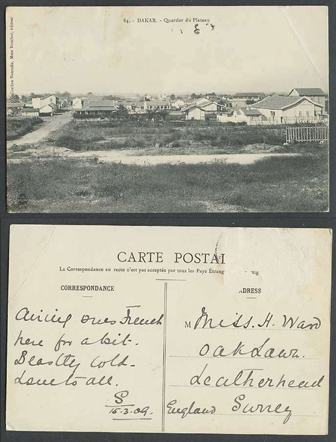 Senegal 1909 Old Postcard Dakar Quartier du Plateau Quarter, Street Scene Houses