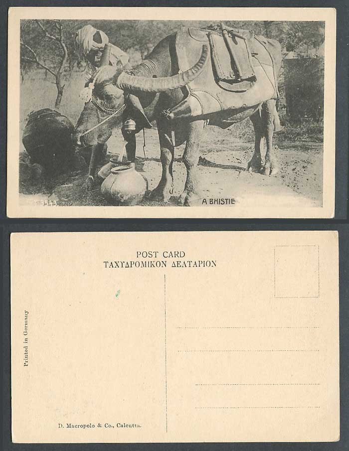 India Old Postcard A BHISTIE with Bullock Bull Buffalo wear Bell Pots Native Man