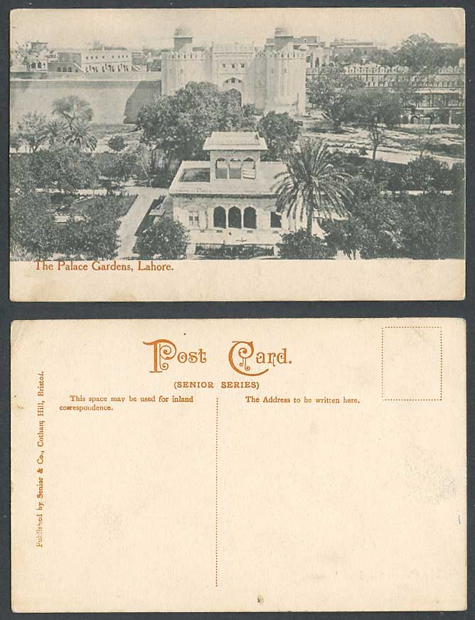Pakistan The Palace Gardens Lahore Panorama Old Postcard Palm Tree British India