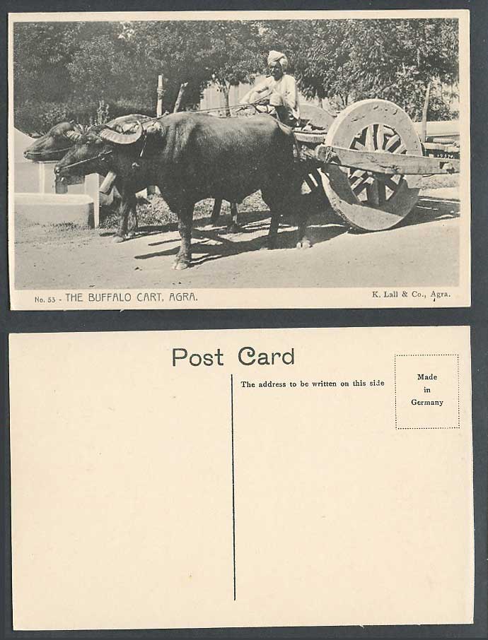 India Old Postcard The Buffalo Cart, Agra, Buffaloes Native Driver K. Lall & Co.