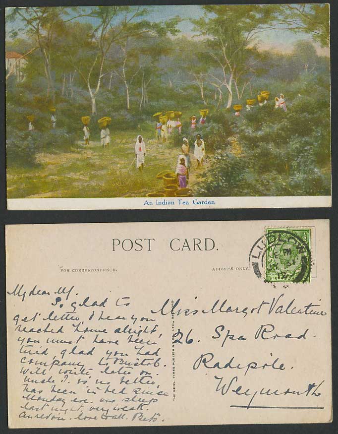 India 1912 Old Postcard An Indian Tea Garden, Native Workers Tea Pickers Baskets
