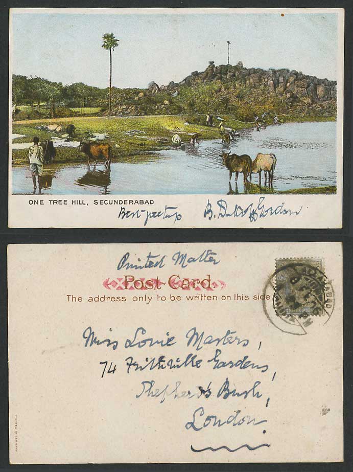 India 3p 1906 Old Postcard One Tree Hill, Secunderabad River, Washerwomen Cattle