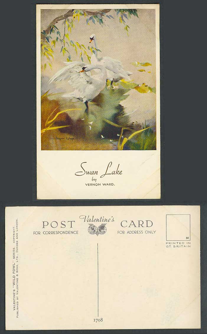 Swan Lake, Swans Bird Birds Vernon Ward Artist Signed Wild Fowl Old ART Postcard