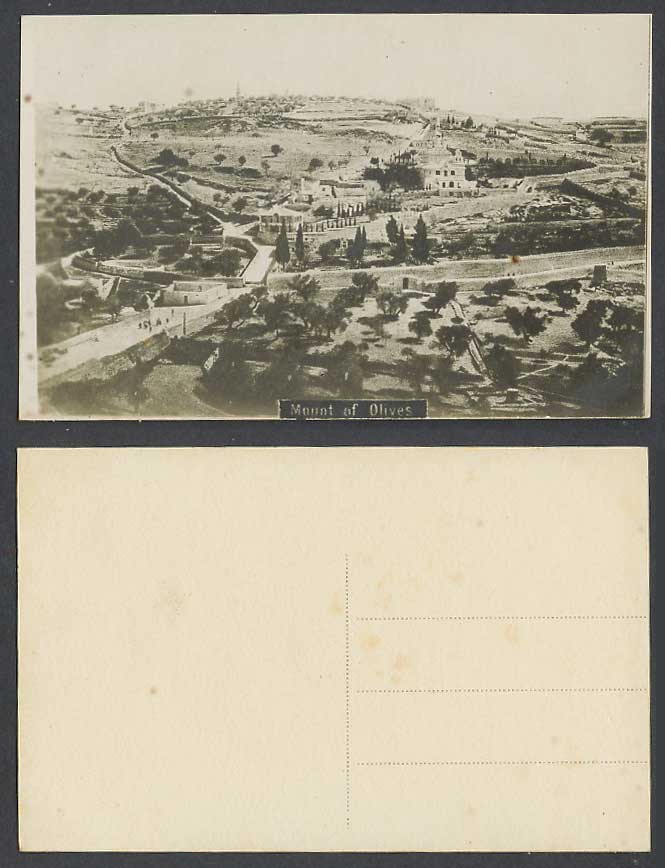 Palestine Old Real Photo Postcard Mount of Olives Jerusalem Street View Panorama