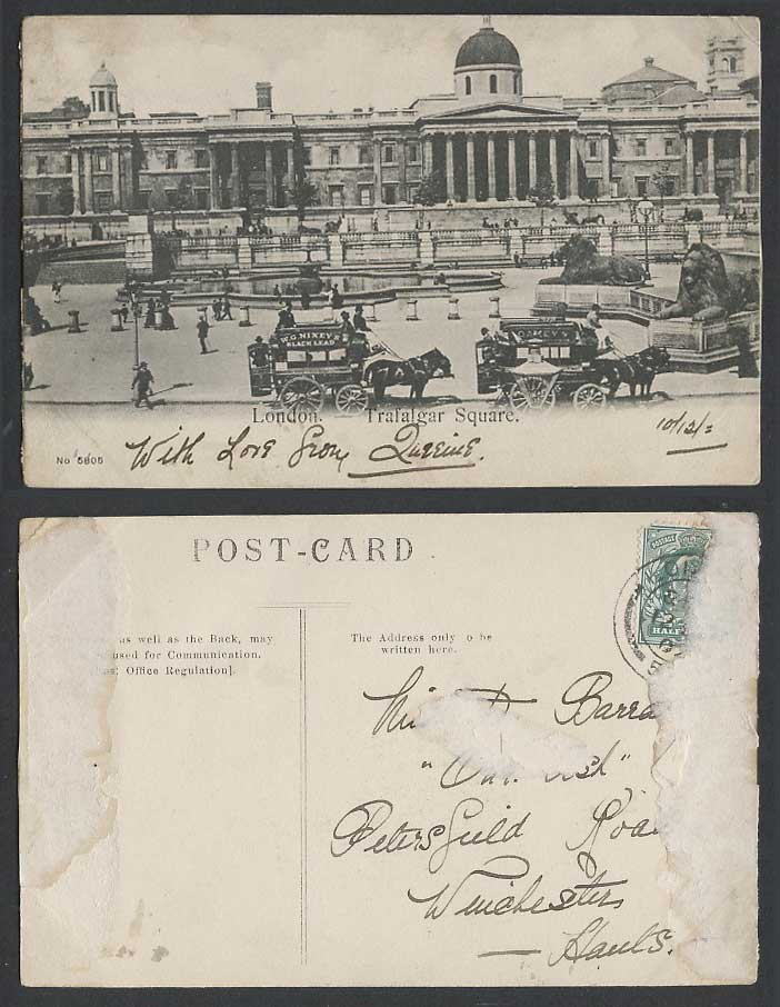 London 1904 Old Postcard Trafalgar Square, Lion Statues, Fountain, Horse Carts