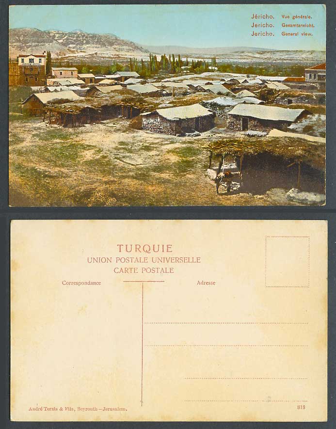 Palestine Old Colour Postcard JERICHO General View Panorama Vue Generale, Israel