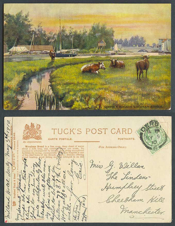 Norfolk Broads Wroxham Bridge, Boats Cattle Cow 1910 Old Tuck's Oilette Postcard