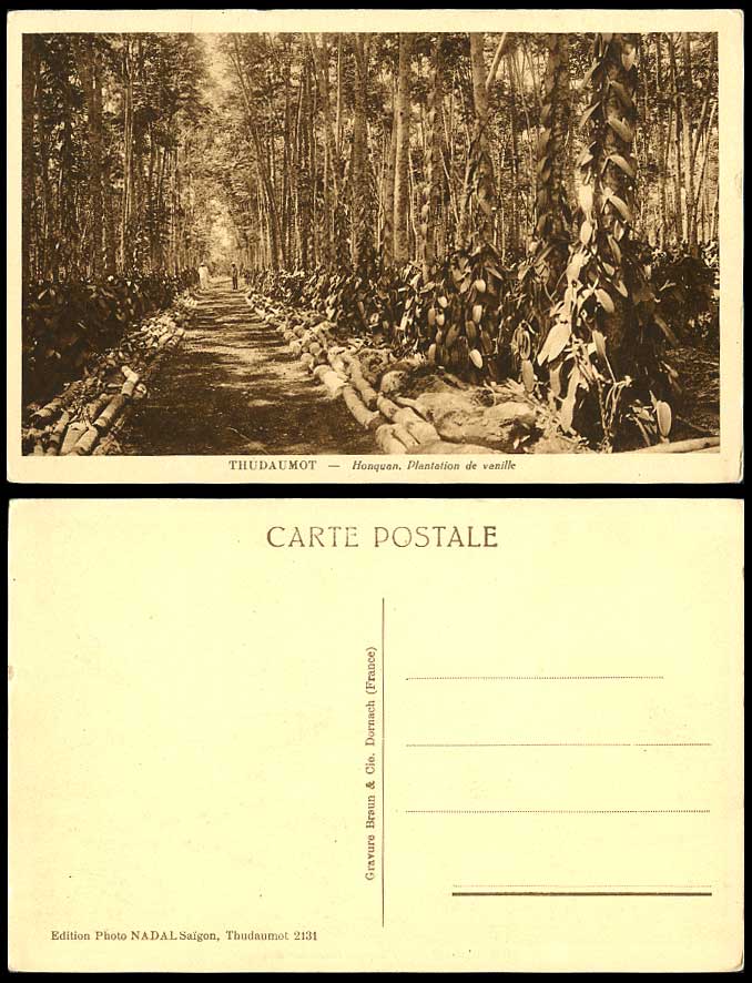 Indo-China Old Postcard Thudaumot Honquan Vanilla Plantation Vanille Thu Dau Mot
