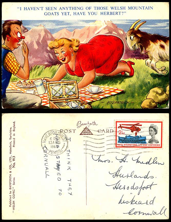 Fitzpatrick Comic 1963 Old Postcard Fat Lady Haven't Seen Welsh Mountain Goats