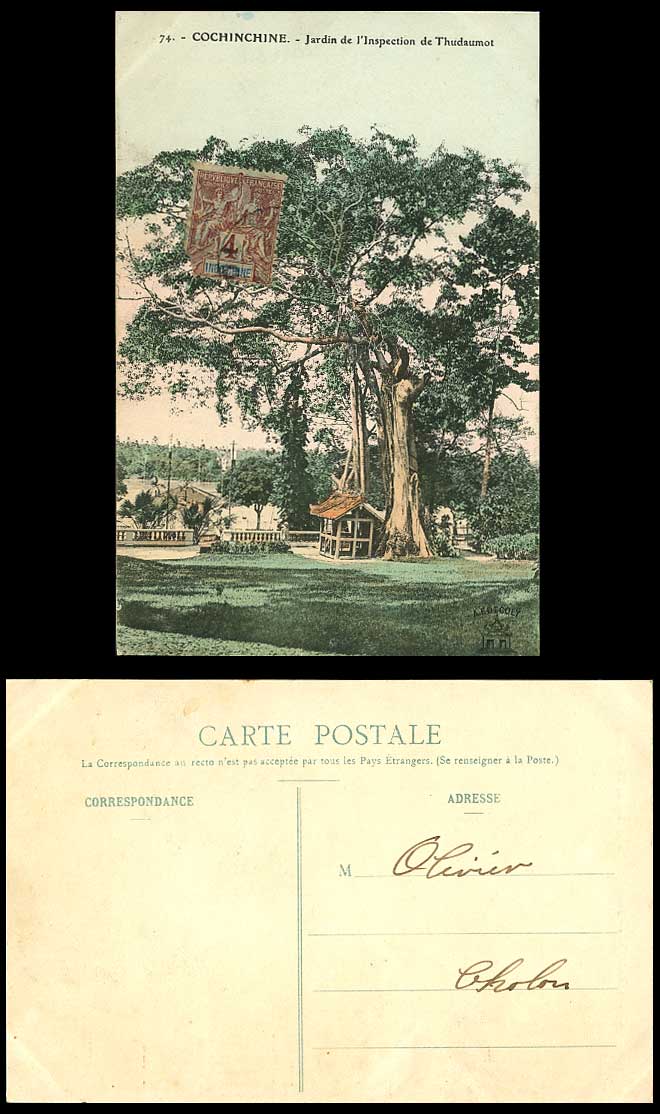Indo-China Old Hand Tinted Postcard Jardin de l'Inspection de Thudaumot Big Tree