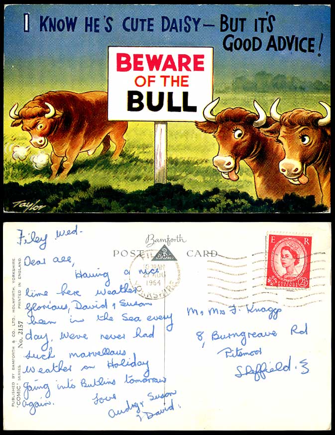Taylor Beware Of The Bull, I Know He's Cute daisy, Good Advice 1964 Old Postcard