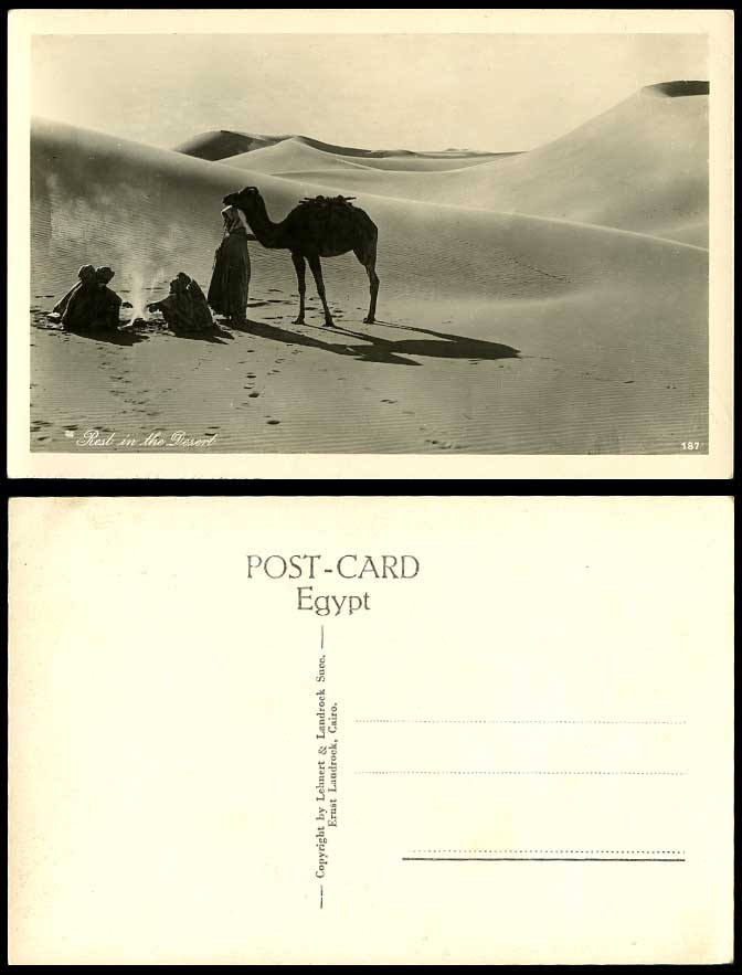 Egypt Old Postcard Cairo Travellers Camel Rest in The Desert Campfire Sand Dunes
