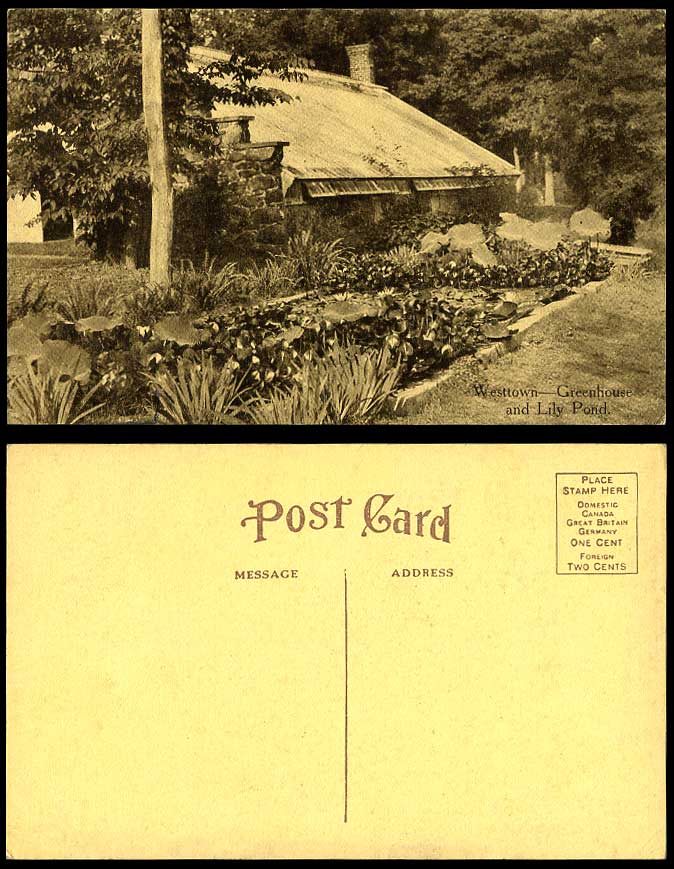 Canada Old Postcard Westtown Greenhouse & Lily Pond, Waterlilies Flowers Cottage