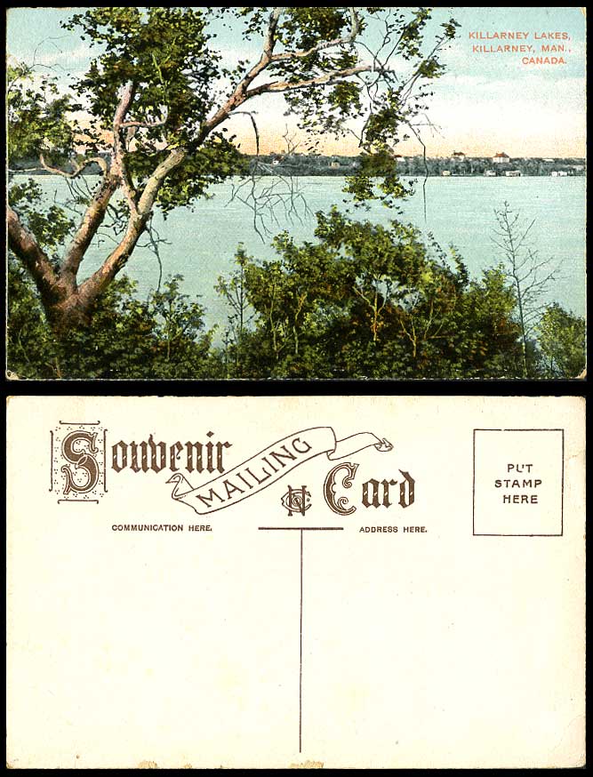 Canada Old Colour Postcard Killarney Lakes, Man. Manitoba, Lake Panorama View