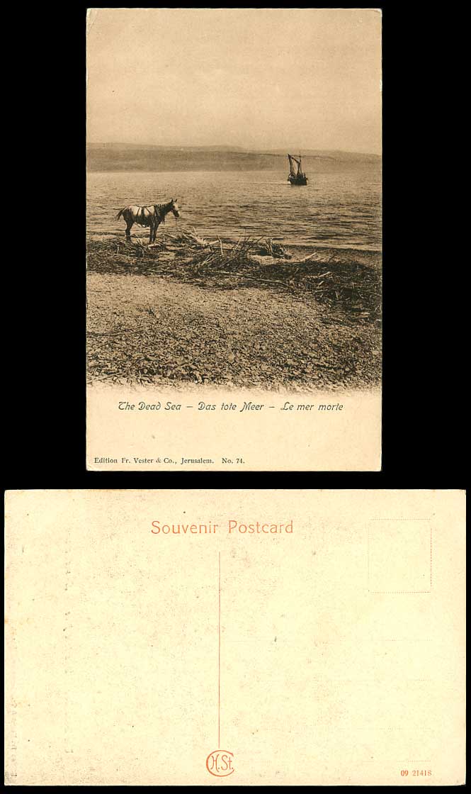THE DEAD SEA Horse Sailing Boat Panorama Le Mer Morte Das Tote Meer Old Postcard